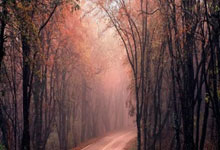 橄榄球赛让世界感受香港的魅力.